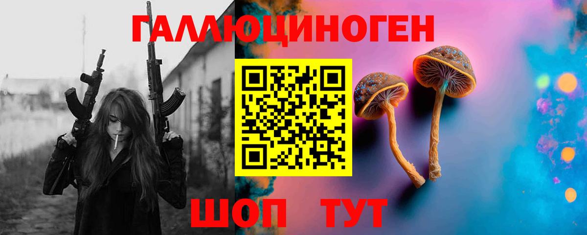 Галлюциногенные грибы Psilocybine cubensis  Галлюциногенные грибы мухоморы  Вход с VPN  Пушкино 